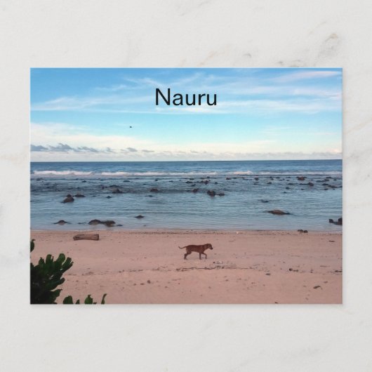 Carte Postale chien de plage de nauru (Devant)