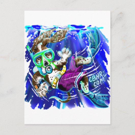 Carte Postale Chien de plongeur (Devant)