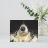 Carte Postale Chien de près (Debout devant)