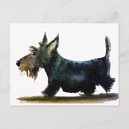 Carte Postale Chien de Scottie (Devant)