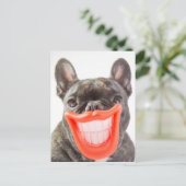 Carte Postale Chien de sourire des images | A de Getty (Debout devant)