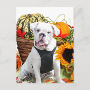 Carte Postale Chien de taureau d'Halloween