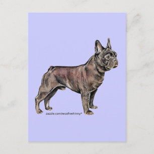Carte Postale Chien de taureaux français !