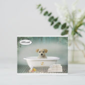 Carte Postale Chien de temps de bain (Debout devant)