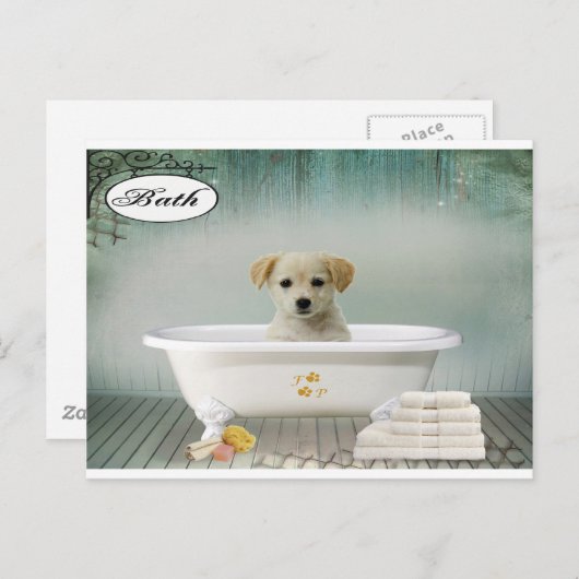 Carte Postale Chien de temps de bain (Devant / Derrière)
