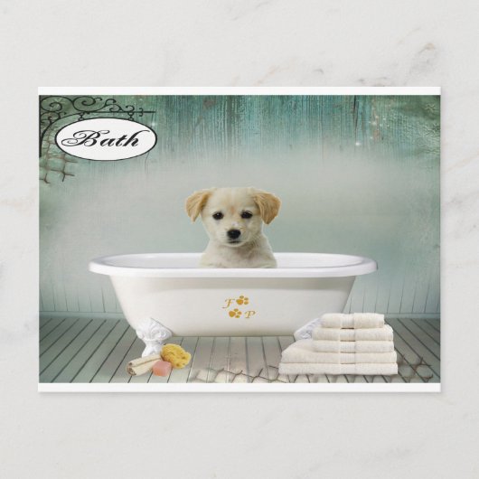 Carte Postale Chien de temps de bain (Devant)