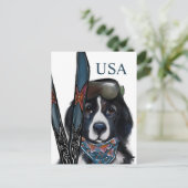 CARTE POSTALE CHIEN DE TERRE-NEUVE (Debout devant)