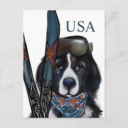 CARTE POSTALE CHIEN DE TERRE-NEUVE (Devant)