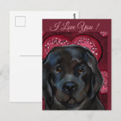 Carte Postale Chien de Terre-Neuve (Devant / Derrière)