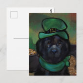 Carte Postale Chien de Terre-Neuve (Devant / Derrière)
