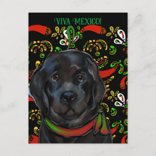 Carte Postale Chien de Terre-Neuve