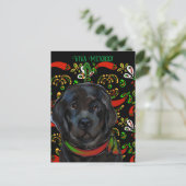Carte Postale Chien de Terre-Neuve (Debout devant)
