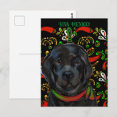 Carte Postale Chien de Terre-Neuve (Devant / Derrière)