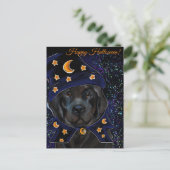 Carte Postale Chien de Terre-Neuve (Debout devant)