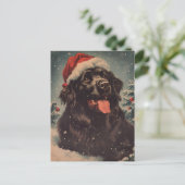 Carte Postale Chien de Terre-Neuve (Debout devant)