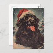 Carte Postale Chien de Terre-Neuve (Devant / Derrière)