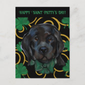 Carte Postale Chien de Terre-Neuve (Devant)