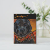 Carte Postale Chien de Terre-Neuve (Debout devant)