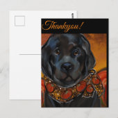 Carte Postale Chien de Terre-Neuve (Devant / Derrière)