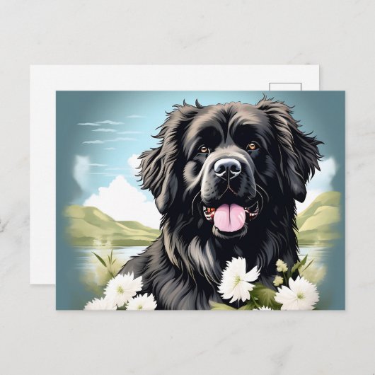 Carte Postale Chien de Terre-Neuve avec fleurs blanches (Devant / Derrière)
