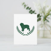 Carte Postale Chien d'eau espagnol (Debout devant)