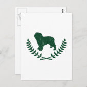 Carte Postale Chien d'eau espagnol (Devant / Derrière)