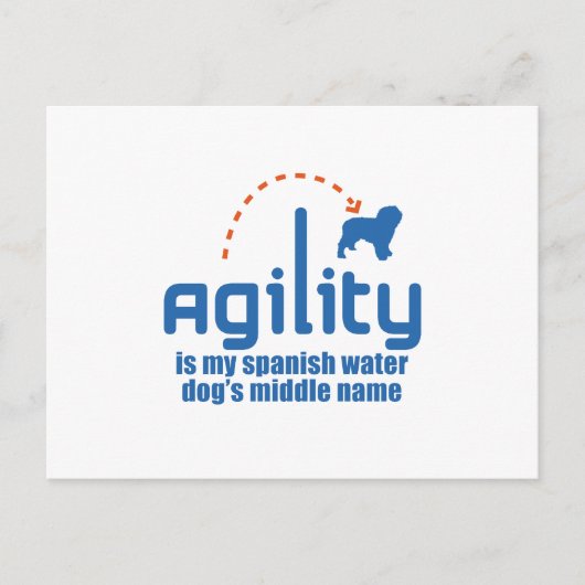 Carte Postale Chien d'eau espagnol (Devant)