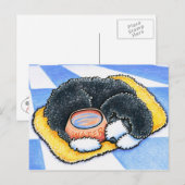 Carte Postale Chien d'eau portugais (Devant / Derrière)