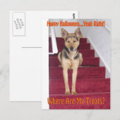 Carte Postale Chien d'Halloween et aucun traitement (Devant / Derrière)