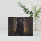 Carte Postale Chien Divers (Debout devant)