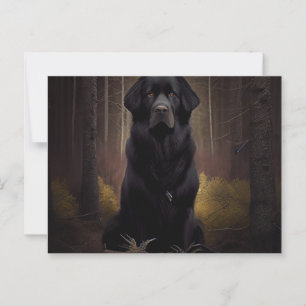 Carte Postale Chien Divers