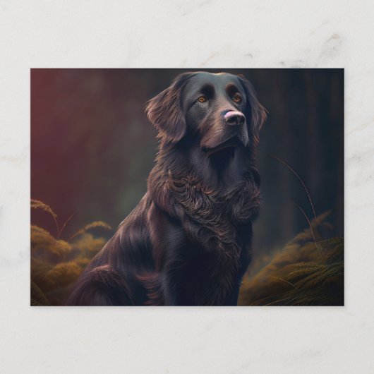 Carte Postale Chien Divers (Devant)