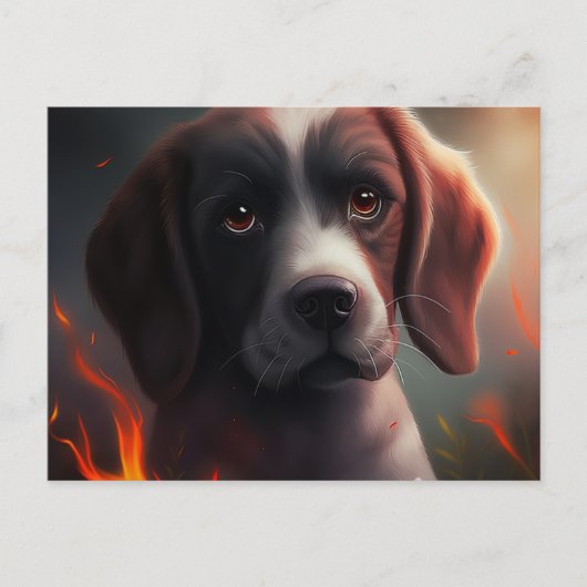 Carte Postale Chien Divers (Devant)