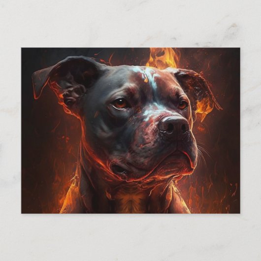 Carte Postale Chien Divers (Devant)