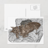 Carte Postale Chien Doberman et chiot (Devant / Derrière)