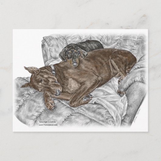 Carte Postale Chien Doberman et chiot (Devant)