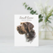 Carte Postale Chien d'oiseau, chasse d'oiseau de terrain découve (Debout devant)