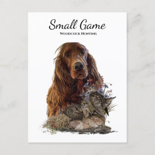 Carte Postale Chien d'oiseaux, chasse à la bécasse