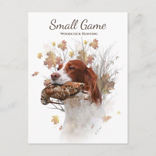 Carte Postale Chien d'oiseaux, chasse à la bécasse (Devant)