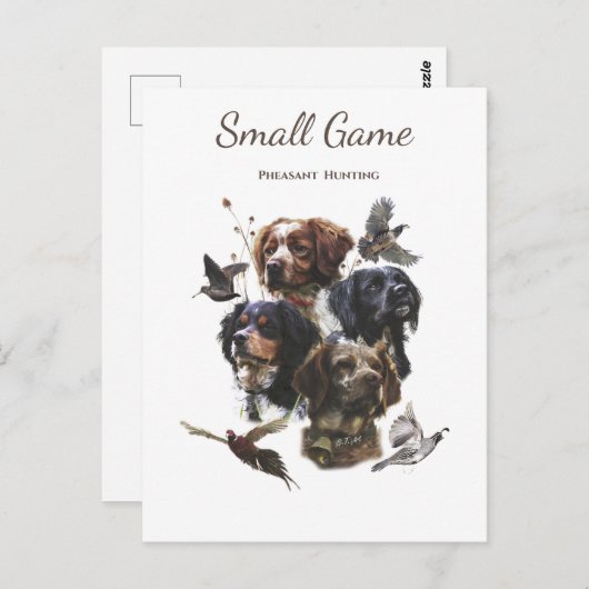 Carte Postale Chien d'oiseaux, chasse aux faisans (Devant / Derrière)