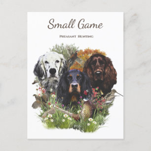 Carte Postale Chien d'oiseaux, chasse aux faisans