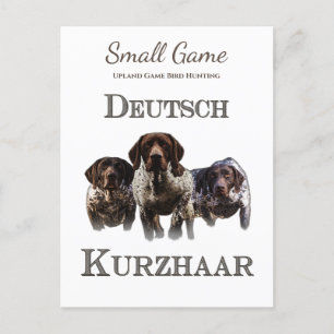 Carte Postale Chien d'oiseaux, Jeu de l'Upland Chasse aux oiseau