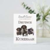 Carte Postale Chien d'oiseaux, Jeu de l'Upland Chasse aux oiseau (Debout devant)