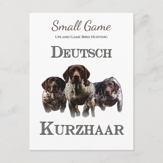 Carte Postale Chien d'oiseaux, Jeu de l'Upland Chasse aux oiseau (Devant)