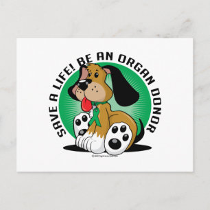 Carte Postale Chien donneur d'organes