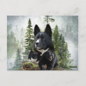 Carte Postale Chien d'Ours de Carélie (Dos)