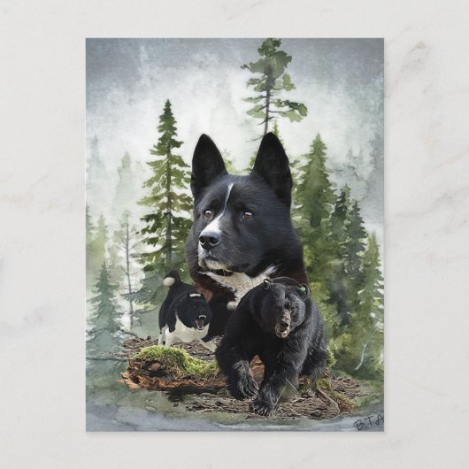 Carte Postale Chien d'Ours de Carélie (Devant)