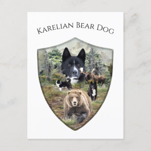 Carte Postale Chien d'ours karélien