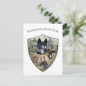 Carte Postale Chien d'ours karélien (Debout devant)
