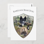 Carte Postale Chien d'ours karélien (Devant / Derrière)